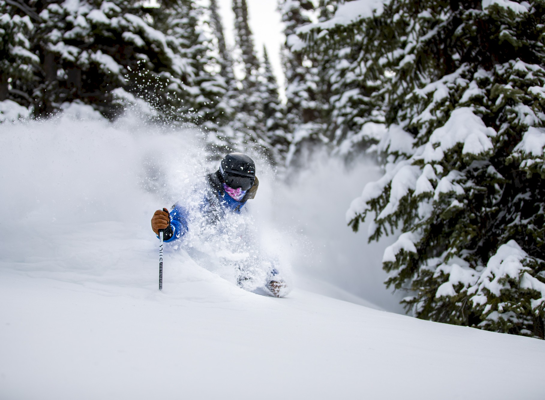 Heli Skiing in the Kootenay's